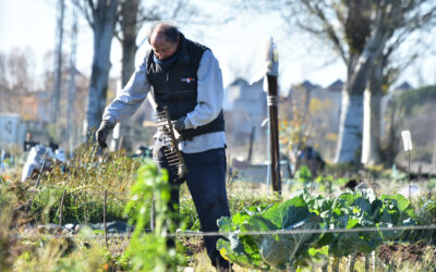 INEA recibe de la ANECA la resolución favorable a la Acreditación del Grado en Ingeniería Agrícola y Agroambiental
