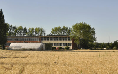 memoria 22-23 Fundación INEA