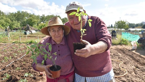 En torno a San Isidro