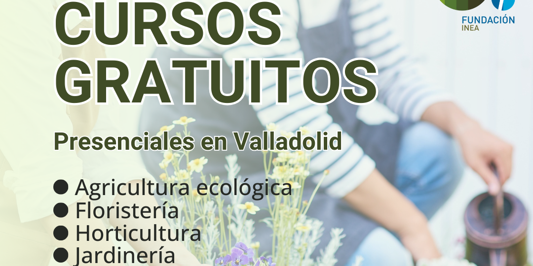Formación y cursos