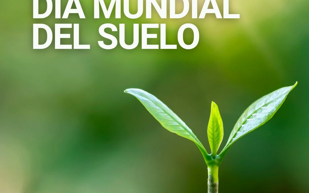 Fundación INEA se suma al Día Mundial del Suelo: “Suelos sanos para ciudades saludables”
