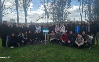 Formación del sector social