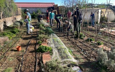 Ecopascua en Las Cortas de Blas