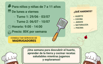 Campamentos de verano