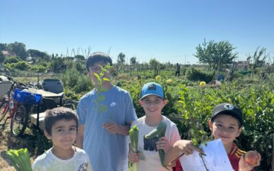 Arranca la primera edición del campamento ECO-CHEF en Fundación INEA