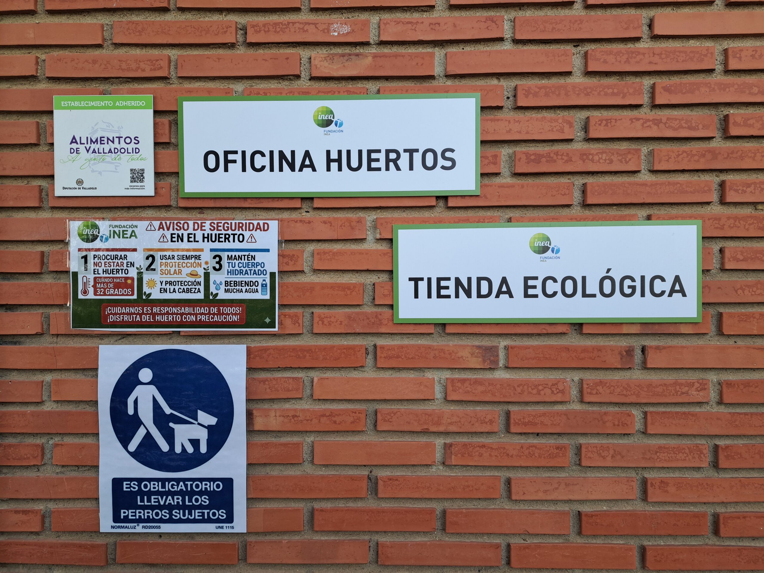 Tienda Ecológica Fundación INEA
