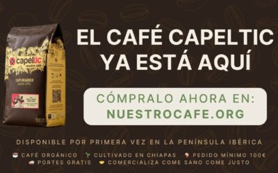 Del cafetal de Chiapas a tu taza: conoce nuestrocafe.org