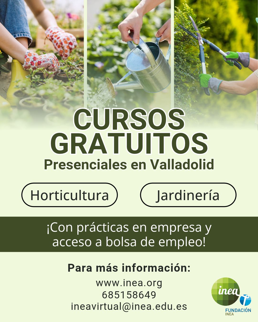 Cursos Fundación INEA