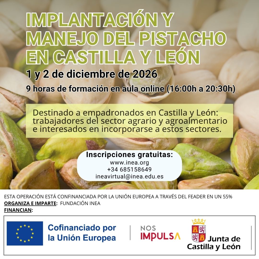 curso de pistacho en Castilla y León