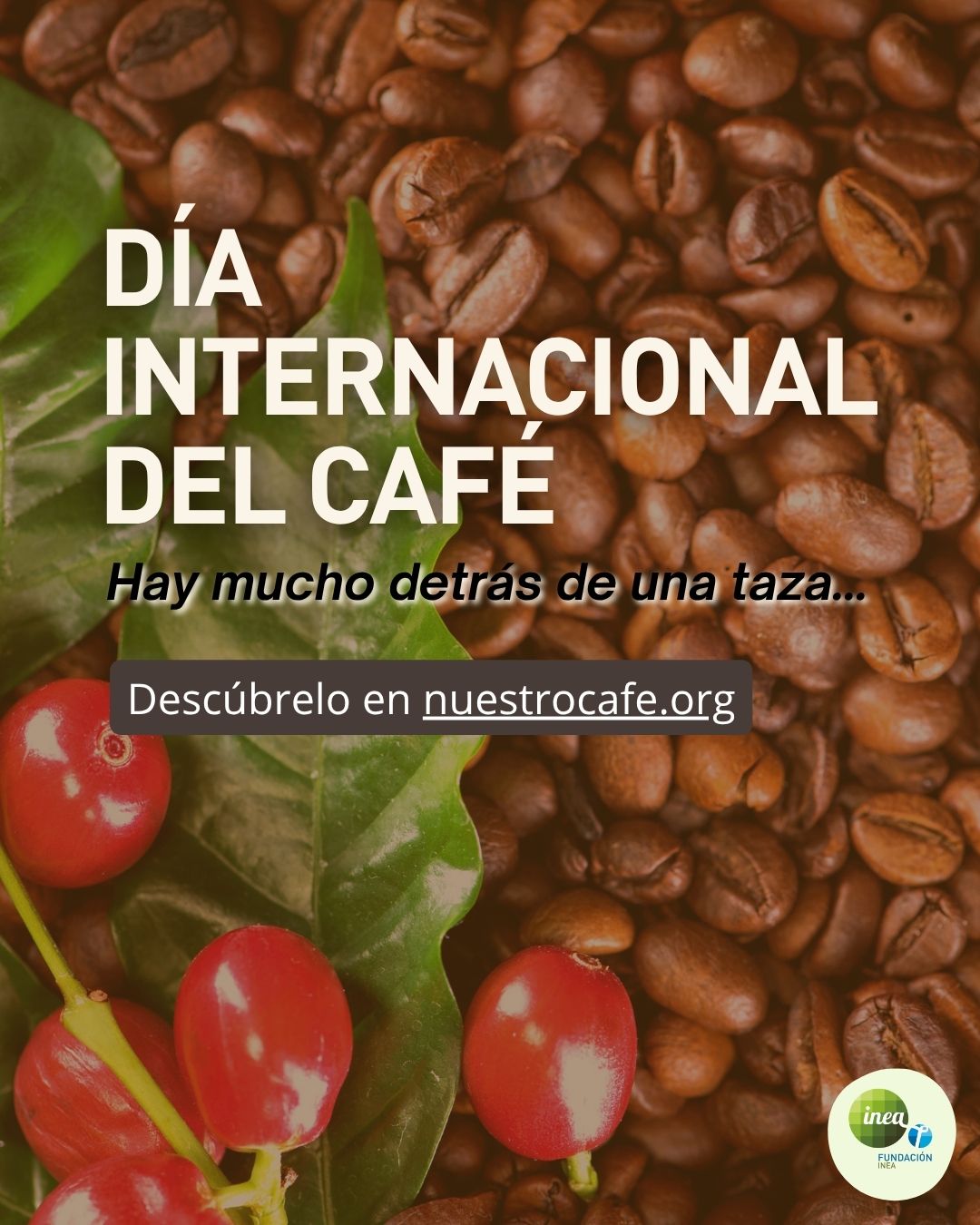 Día Internacional Café Fundación INEA